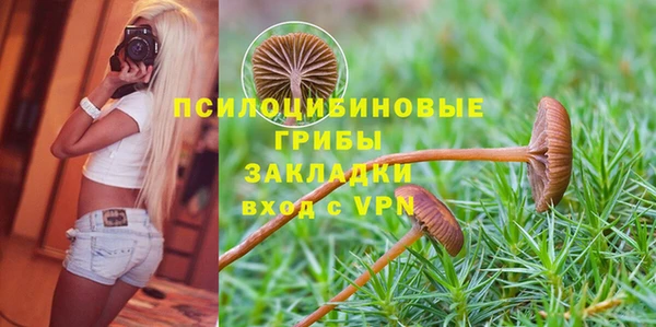 spice Арсеньев