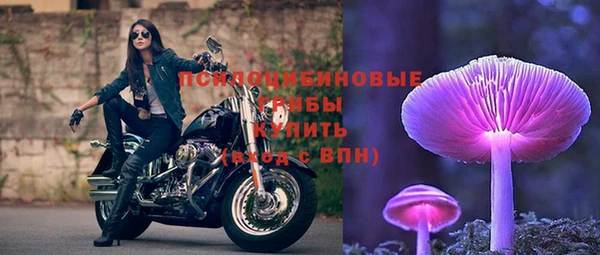 spice Арсеньев