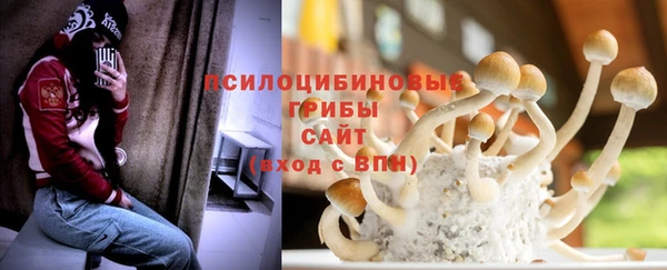 spice Арсеньев