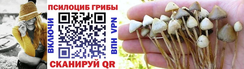 Псилоцибиновые грибы Cubensis  Трёхгорный 